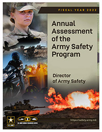 Army Annual Assessment image